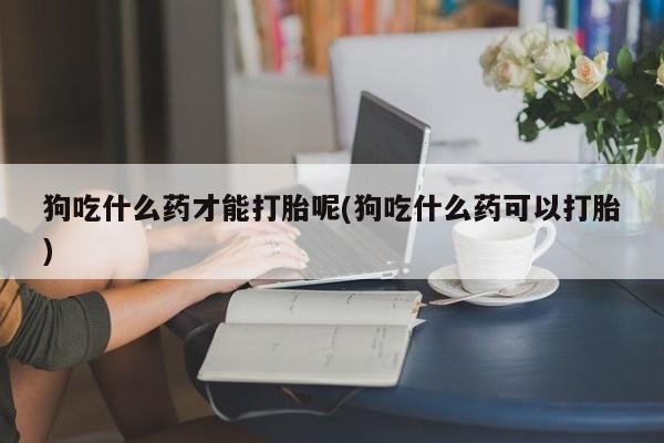 流产药联系方式狗吃什么药才能打胎呢(狗吃什么药可以打胎)